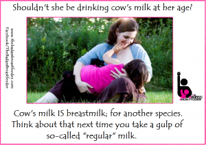 Cow's milk