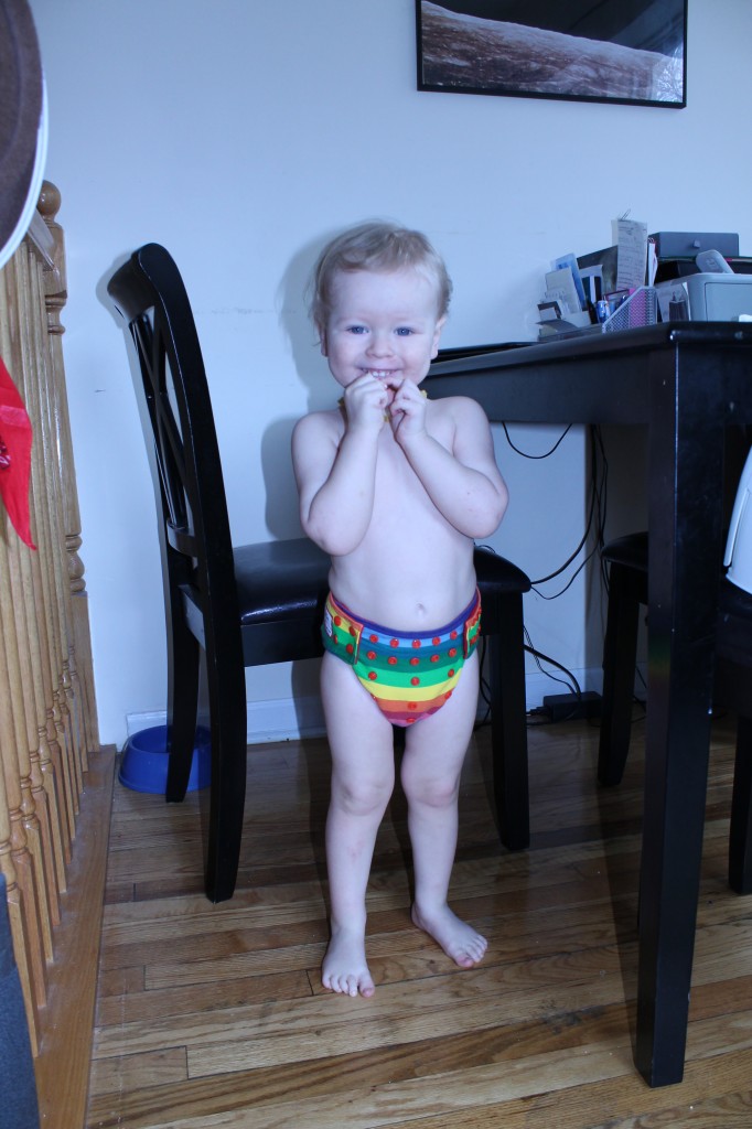 cloth diaper review