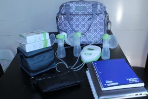 Sarah Wells Breast Pump Bag