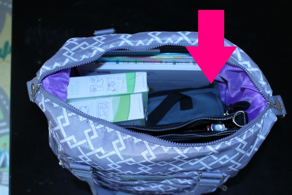 Sarah Wells Breast Pump Bag